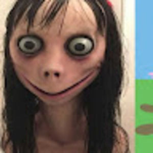 Meet your Posher, Harper-kate